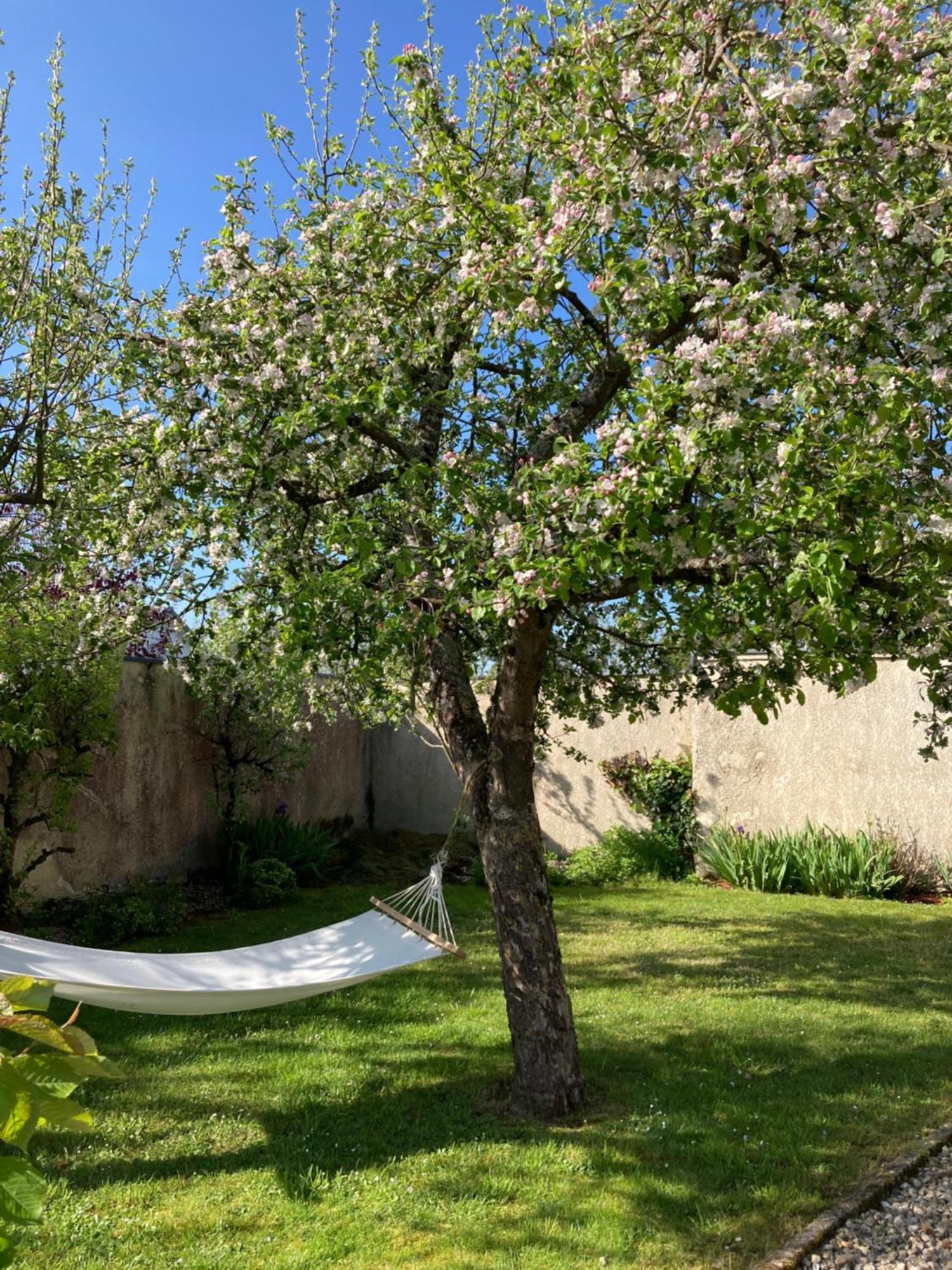 Maison Les Beaux Arts Mouzay  ภายนอก รูปภาพ