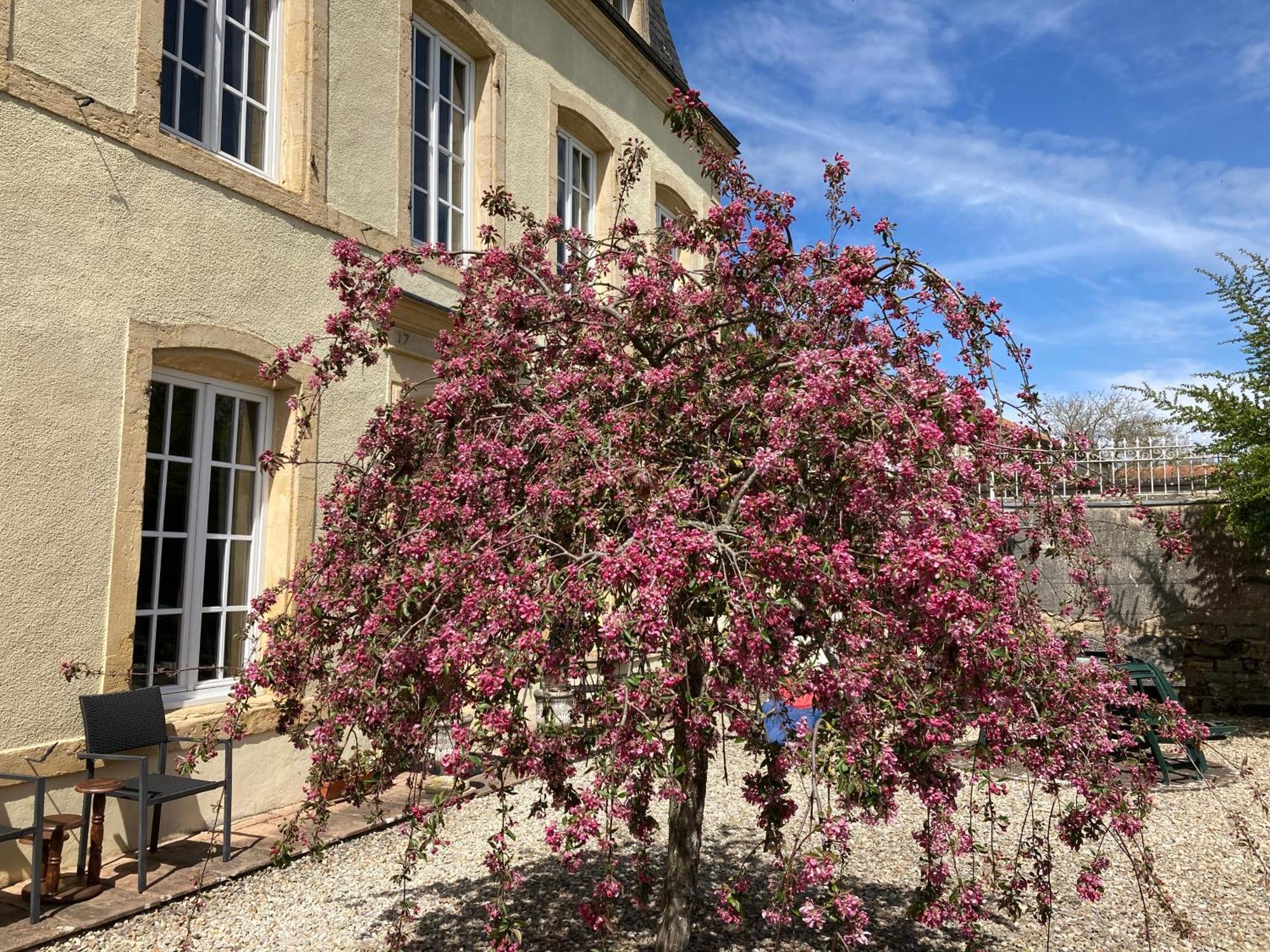 Maison Les Beaux Arts Mouzay  ภายนอก รูปภาพ